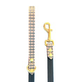 Load image into Gallery viewer, Blush & Brass 4' Leash