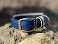 Load image into Gallery viewer, Prairie Pursuit Padded Dog Collar