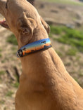 Load image into Gallery viewer, Prairie Pursuit Padded Dog Collar