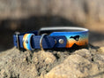 Load image into Gallery viewer, Prairie Pursuit Padded Dog Collar