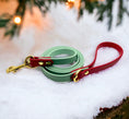 Load image into Gallery viewer, Rustic Bloom 6' Leash