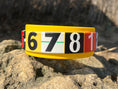 Load image into Gallery viewer, Race Ready Collars