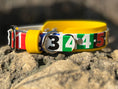 Load image into Gallery viewer, Race Ready Collars