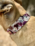 Load image into Gallery viewer, Cabernet Blossom Dog Collar