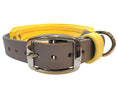 Load image into Gallery viewer, 13.5-17" Golden Hour Padded Collar