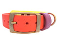 Load image into Gallery viewer, 13-15.5" Sunset Sorbet Collar