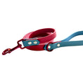 Load image into Gallery viewer, Patriot Pop 6' Leash