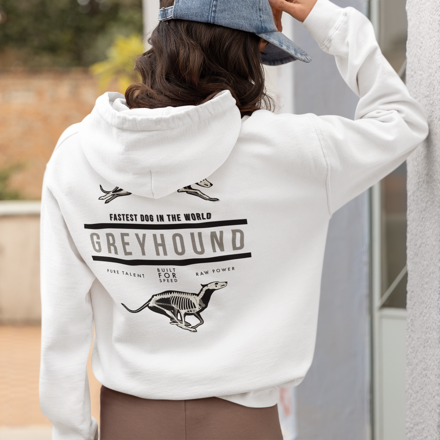 All Things Greyhound