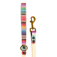 Load image into Gallery viewer, 6' Serape & Powder Tan Leash
