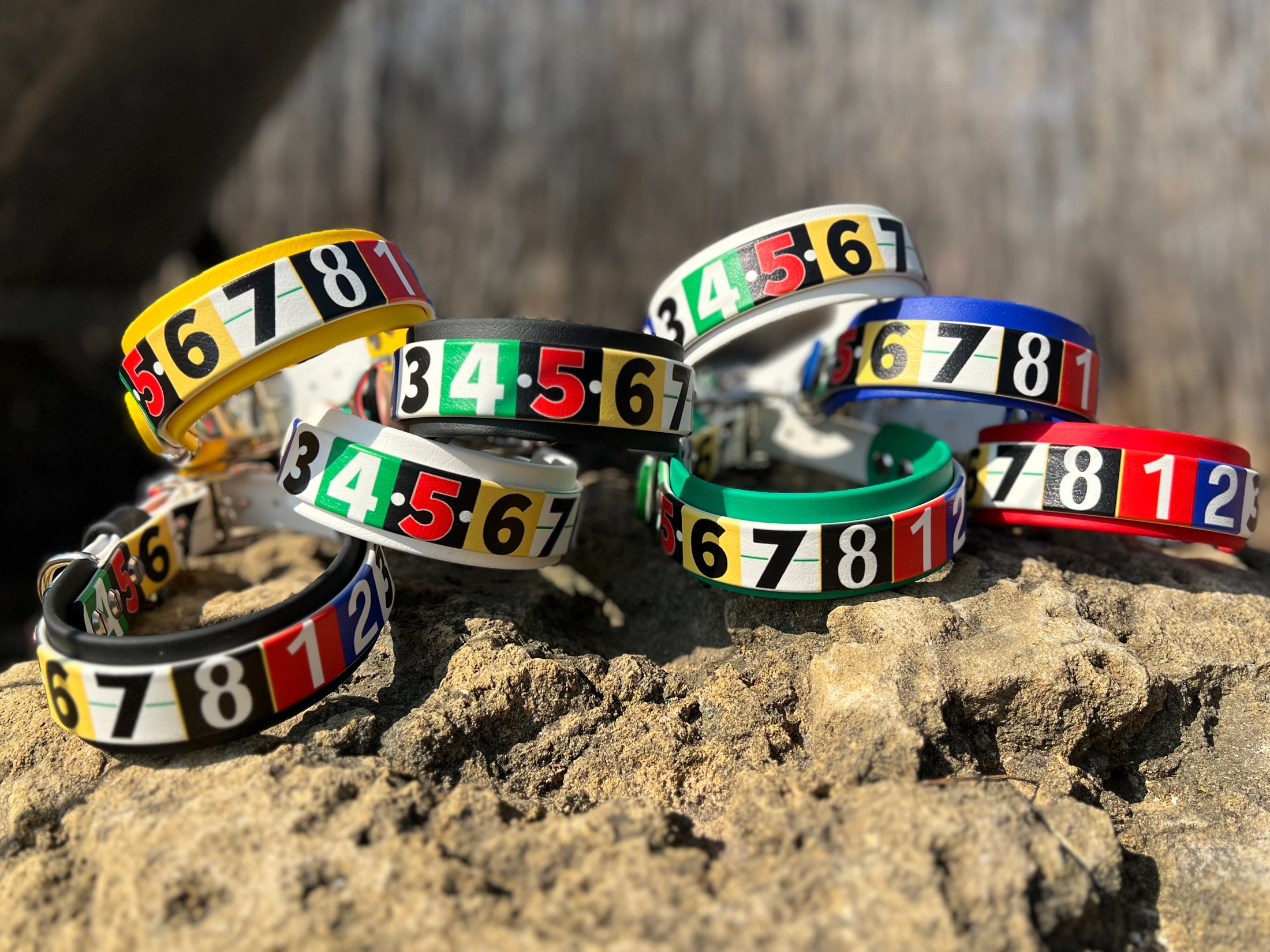 Race Ready Collars