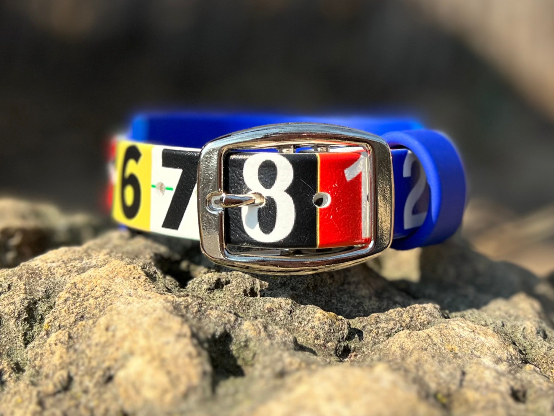 Race Ready Collars