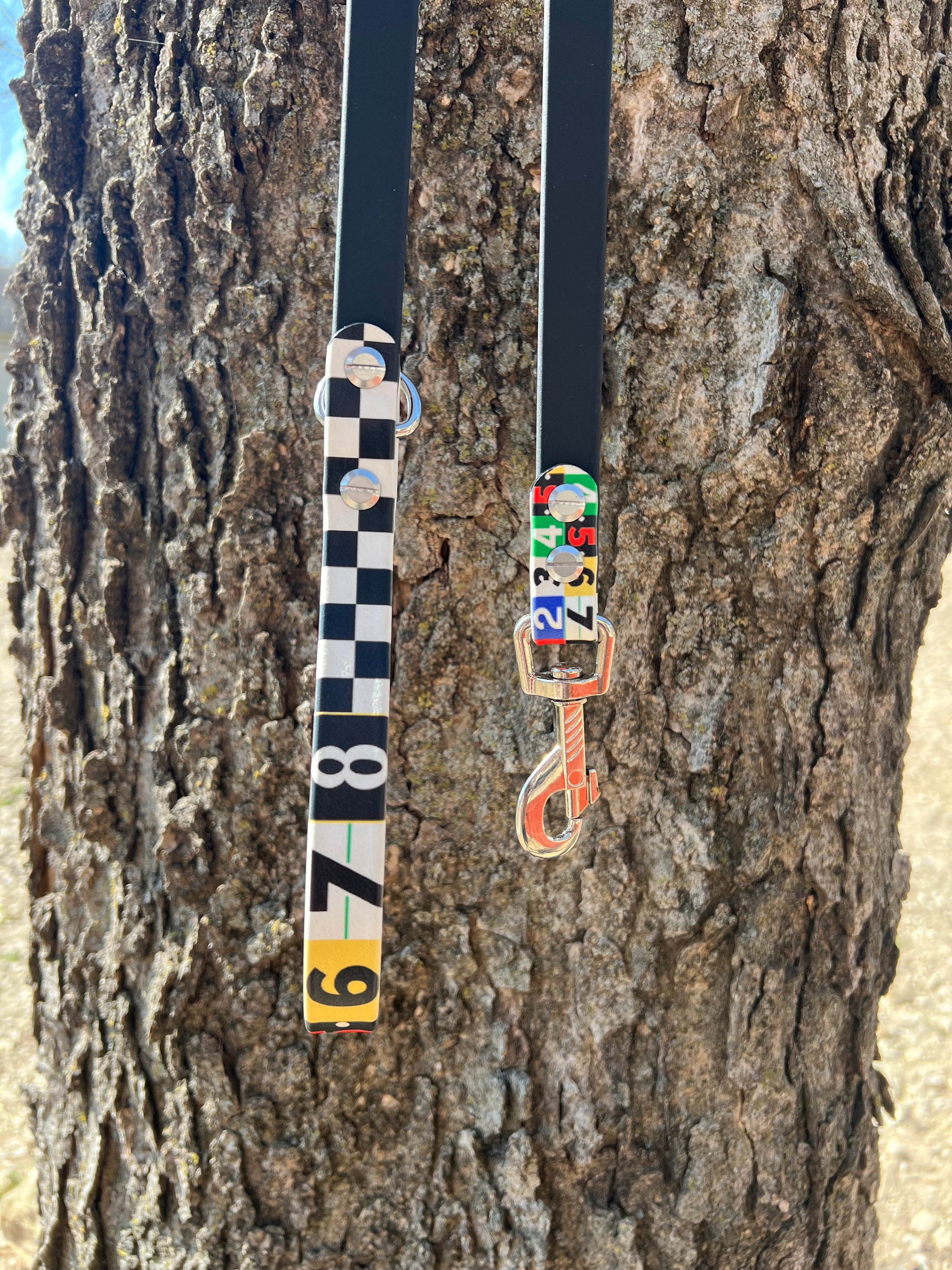 Race Ready Leashes