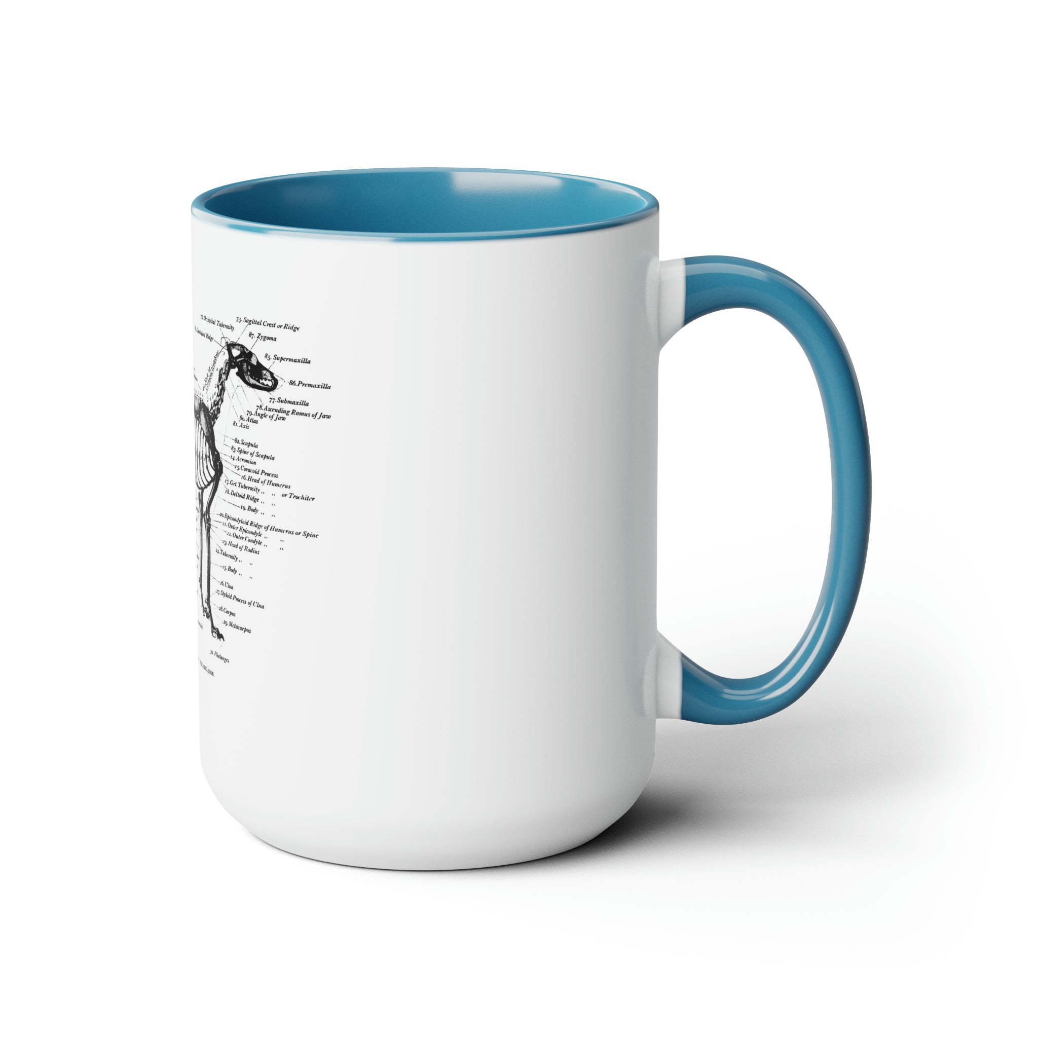 Greyhound Anatomy Coffee Mug, 15oz