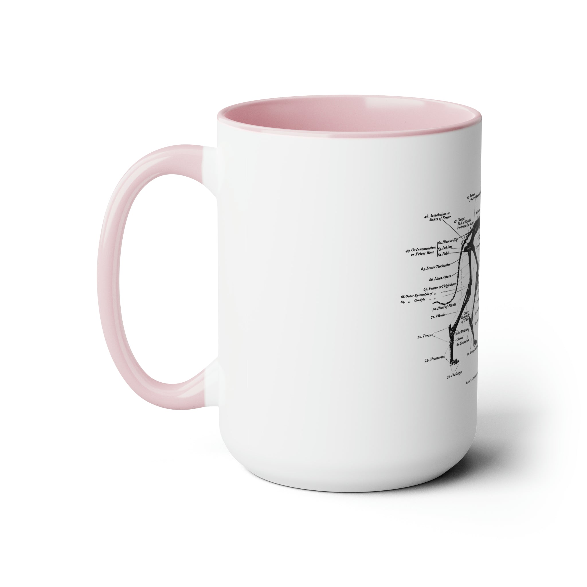 Greyhound Anatomy Coffee Mug, 15oz