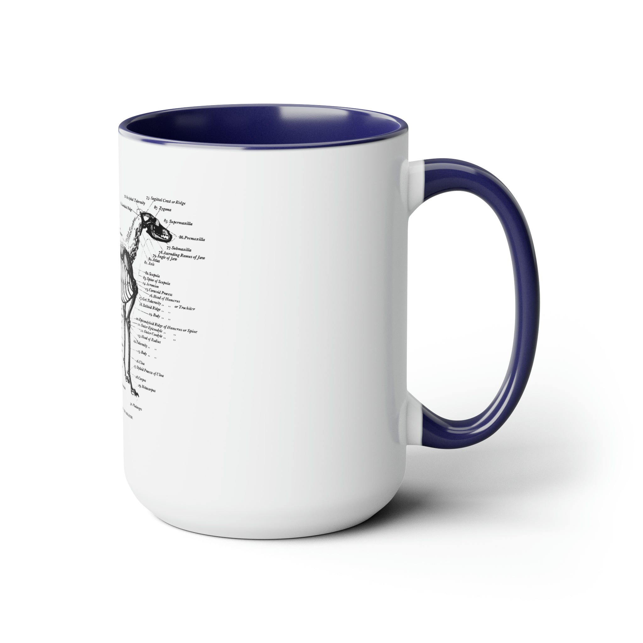 Greyhound Anatomy Coffee Mug, 15oz