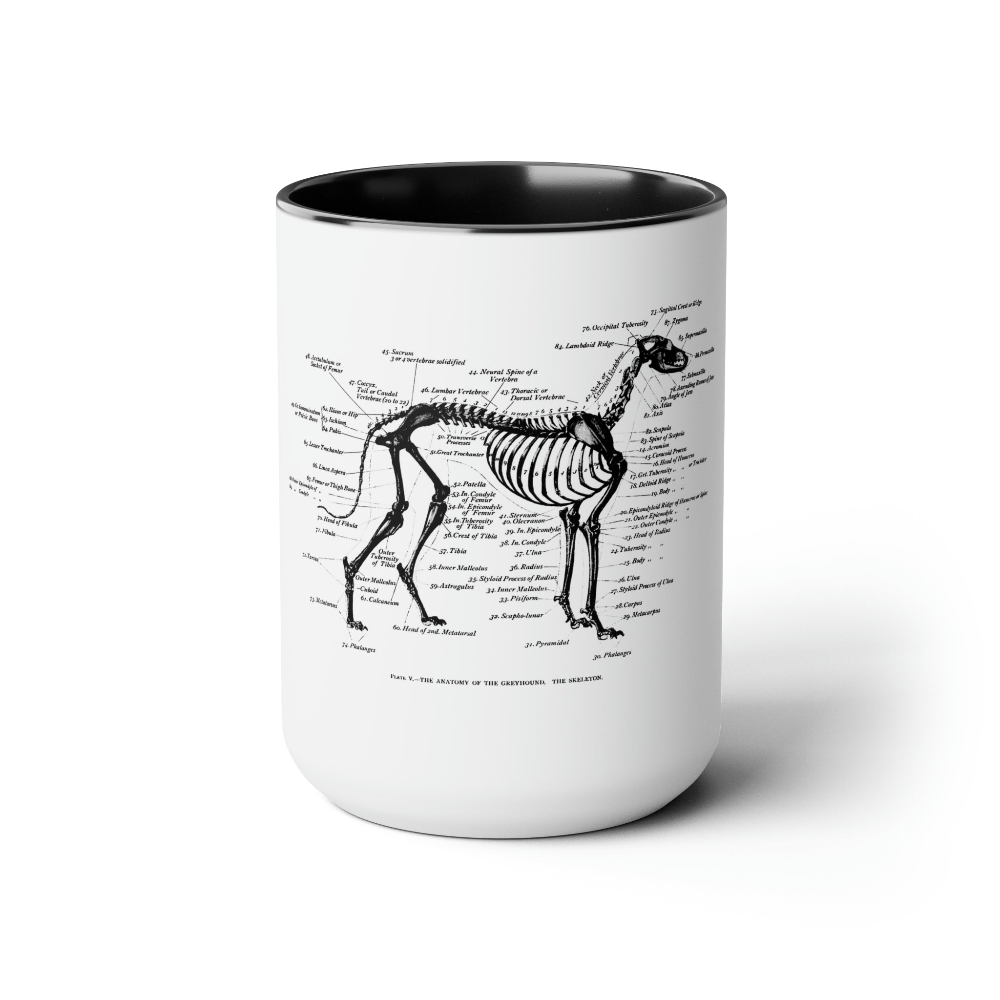 Greyhound Anatomy Coffee Mug, 15oz