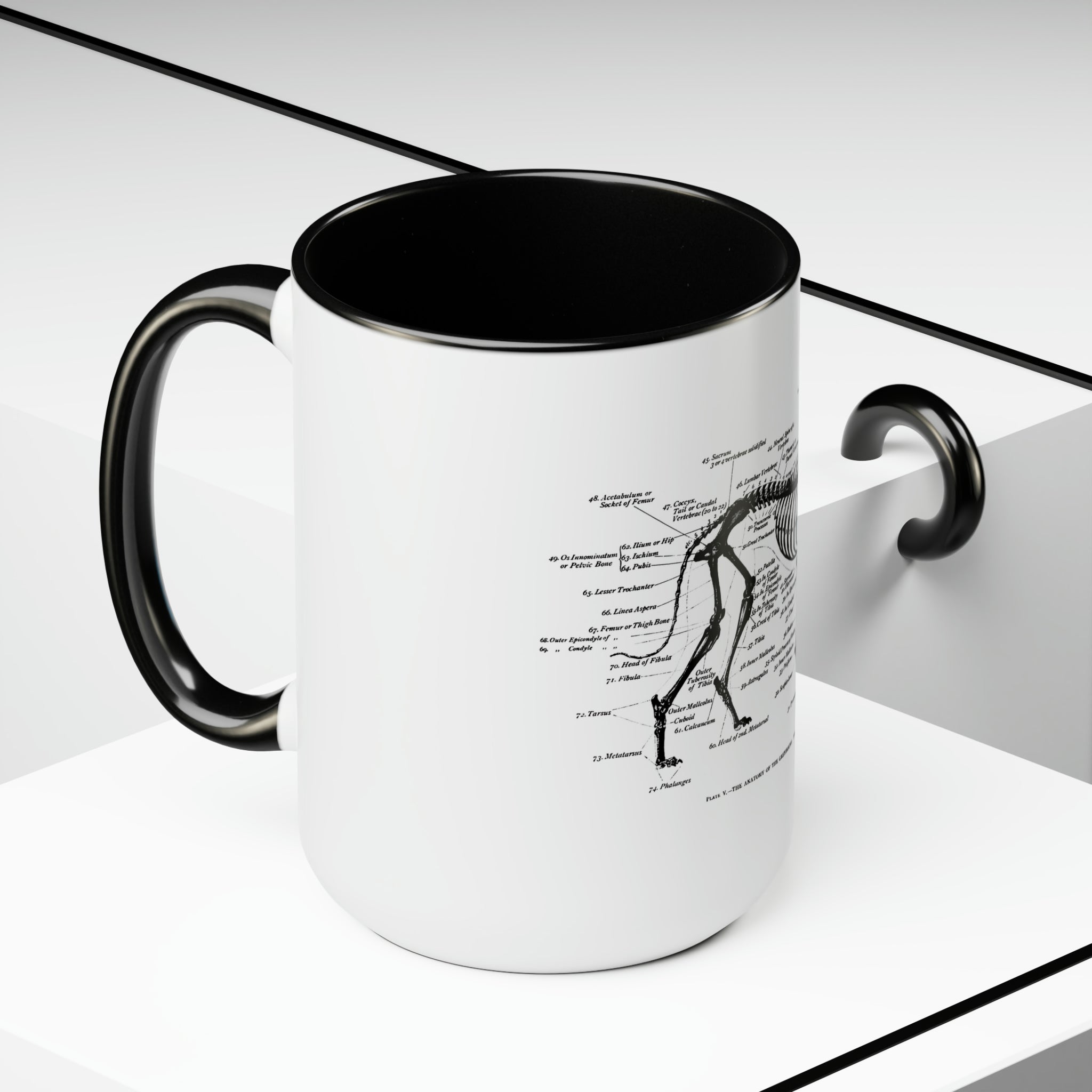 Greyhound Anatomy Coffee Mug, 15oz