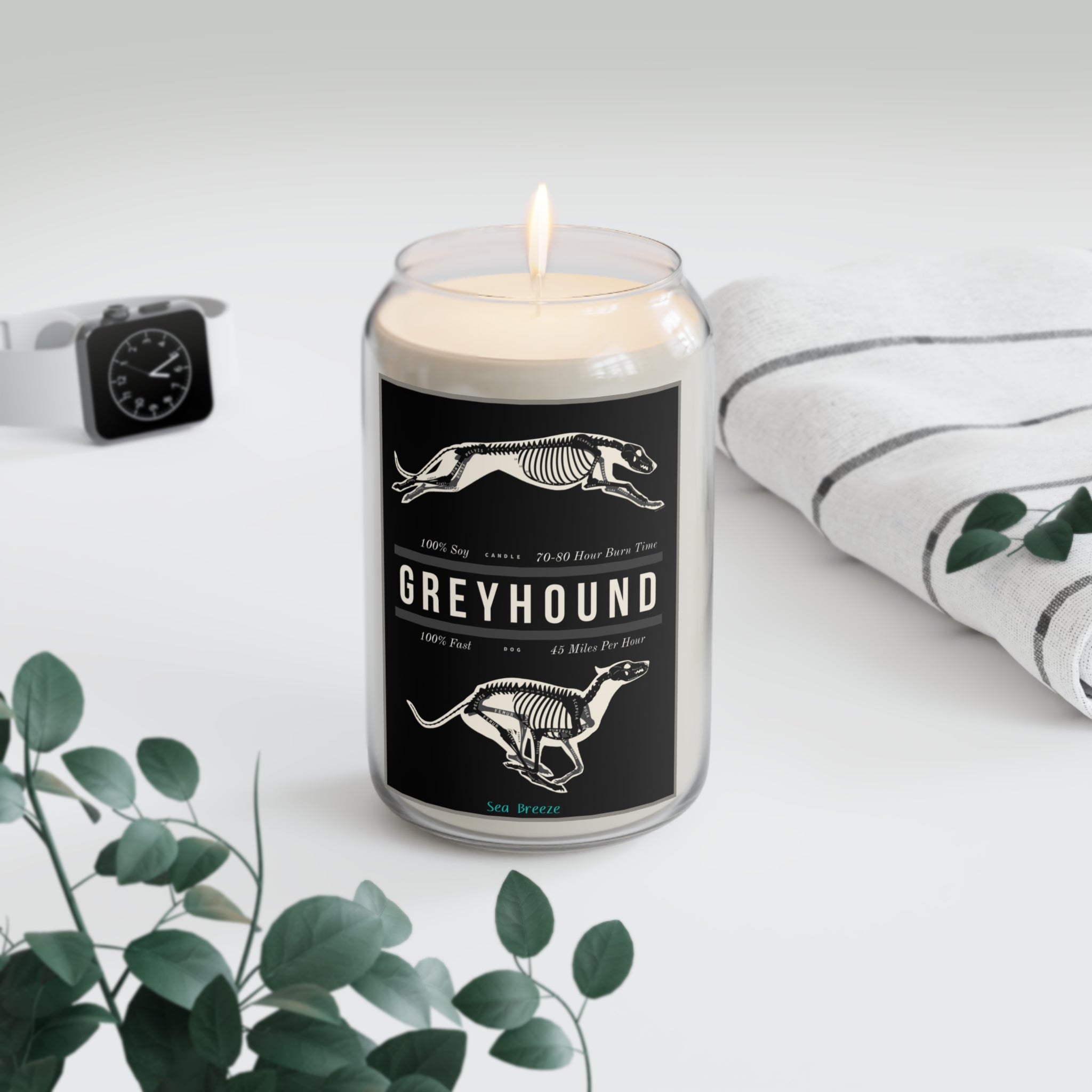 Greyhound Anatomy 100% Soy Candle, 13.75oz