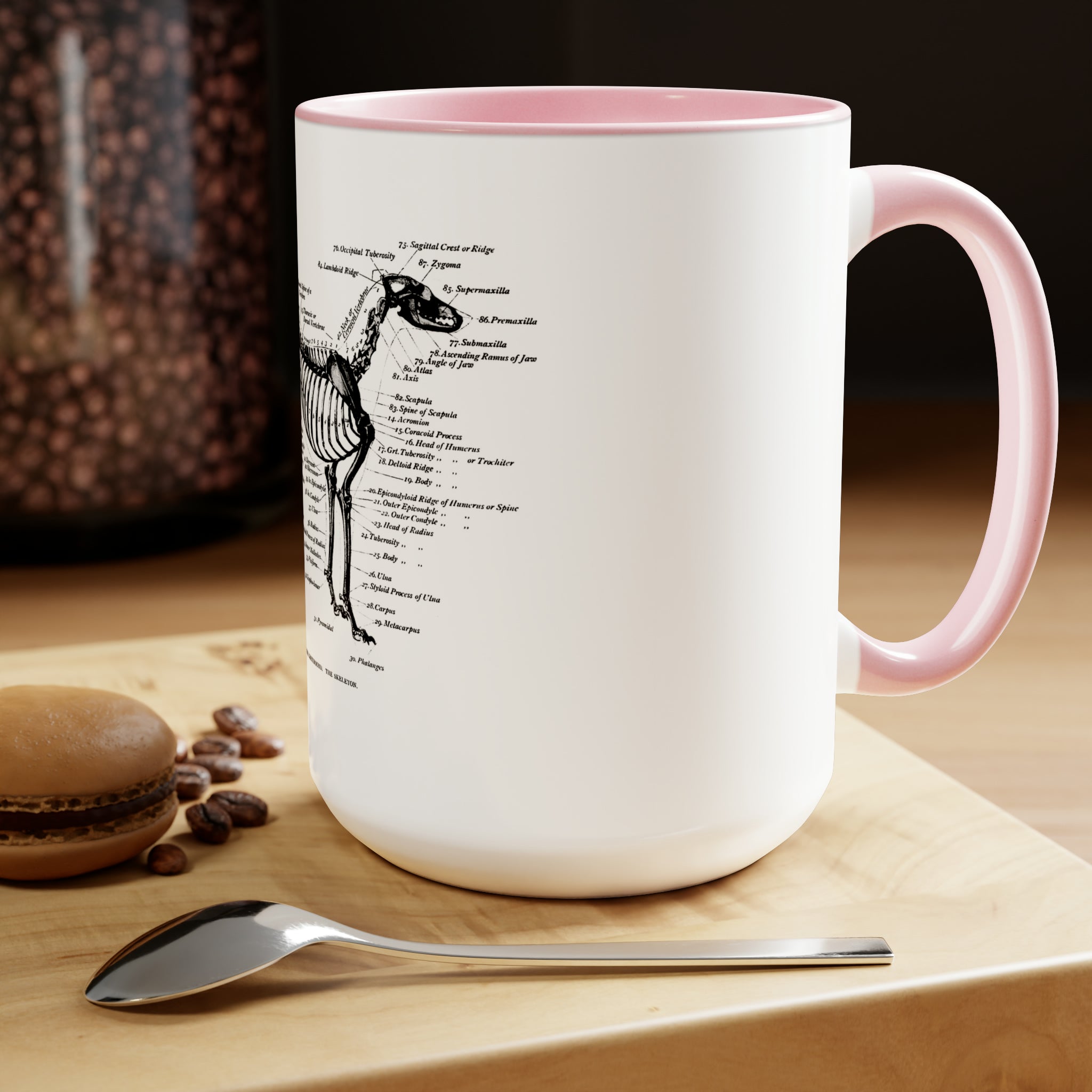 Greyhound Anatomy Coffee Mug, 15oz