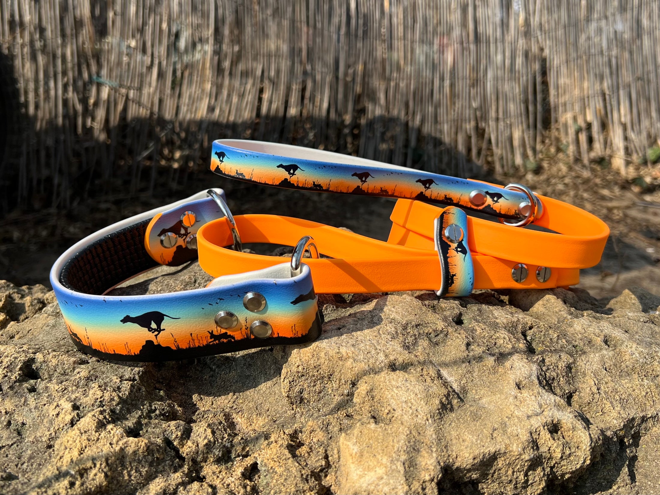 Prairie Pursuit Padded French Martingale Dog Collar