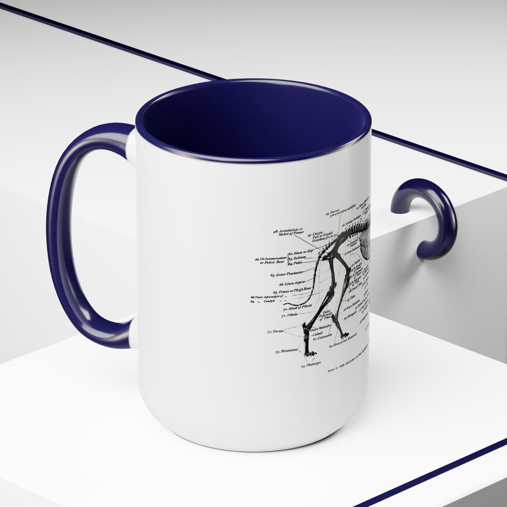 Greyhound Anatomy Coffee Mug, 15oz