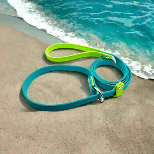 4' Biothane Slip Leash Turquoise & Apple Green