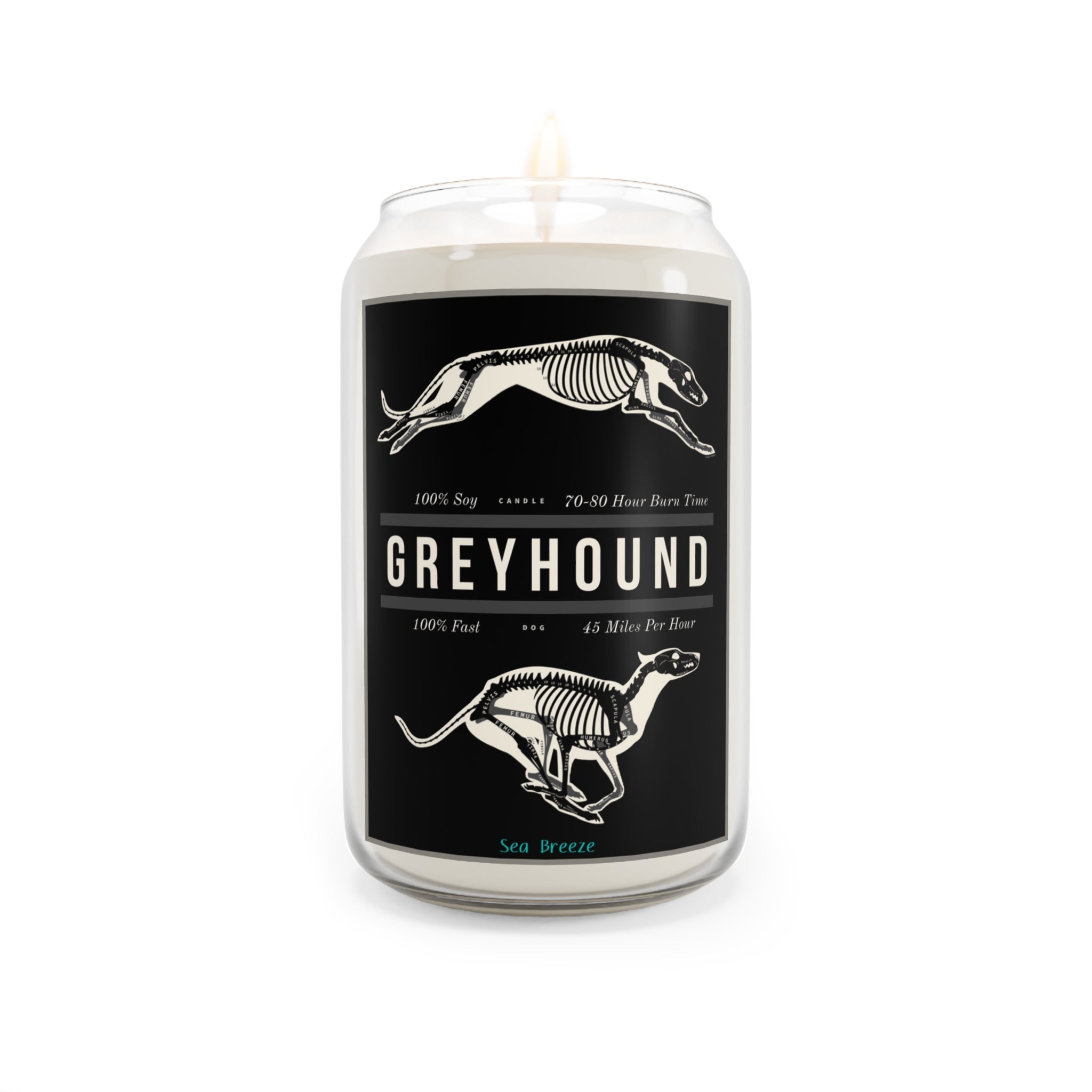 Greyhound Anatomy 100% Soy Candle, 13.75oz