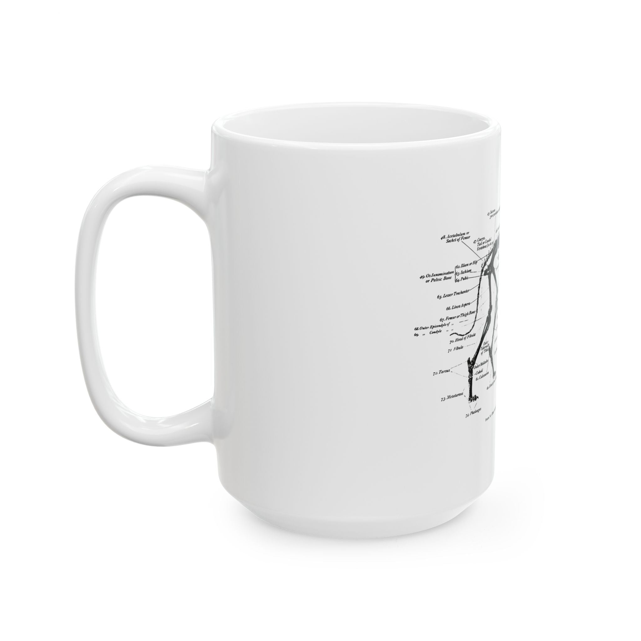 Greyhound Anatomy Ceramic Mug  15oz