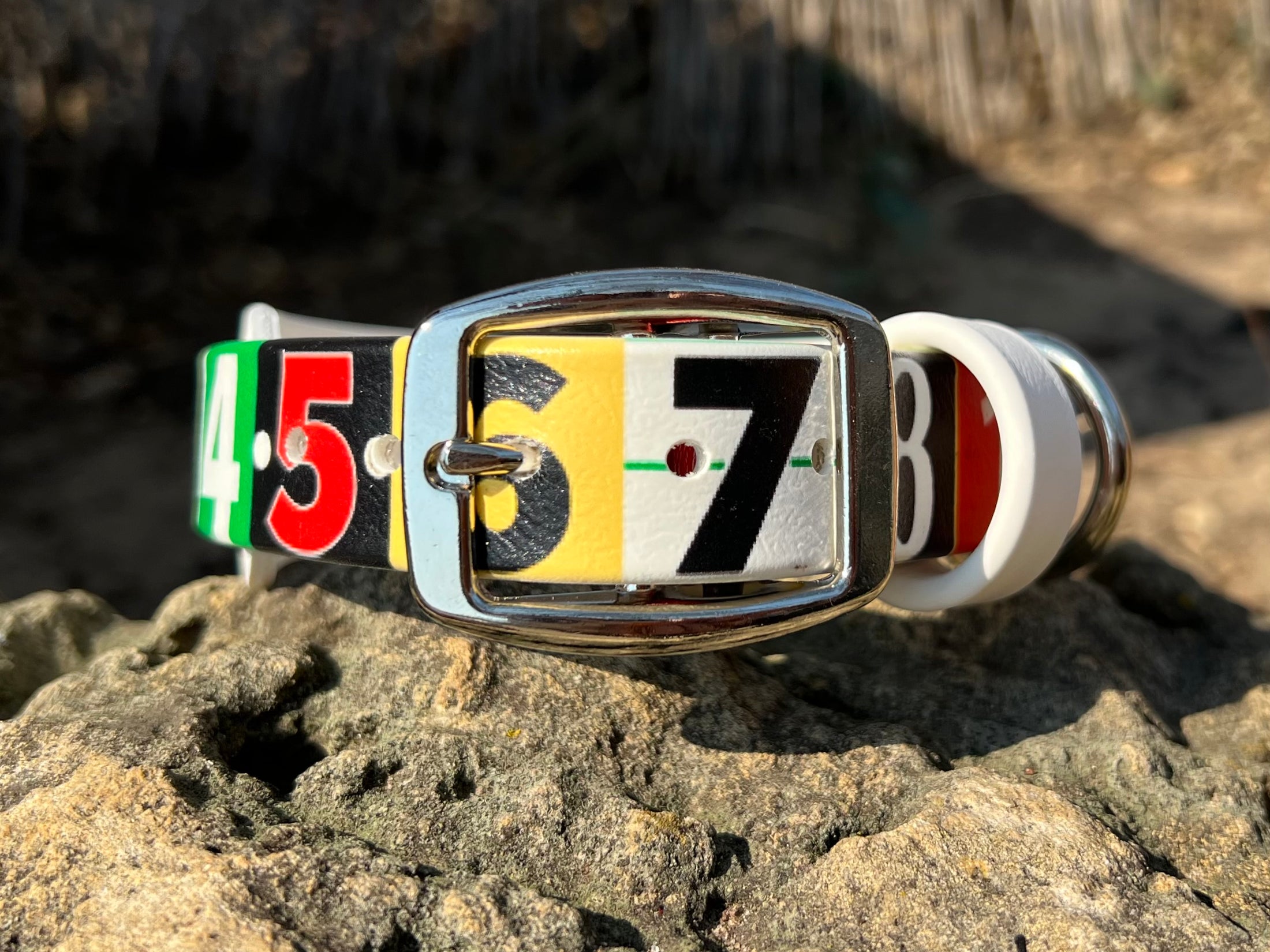 Race Ready Collars