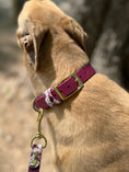 Load image into Gallery viewer, Cabernet Blossom Dog Collar
