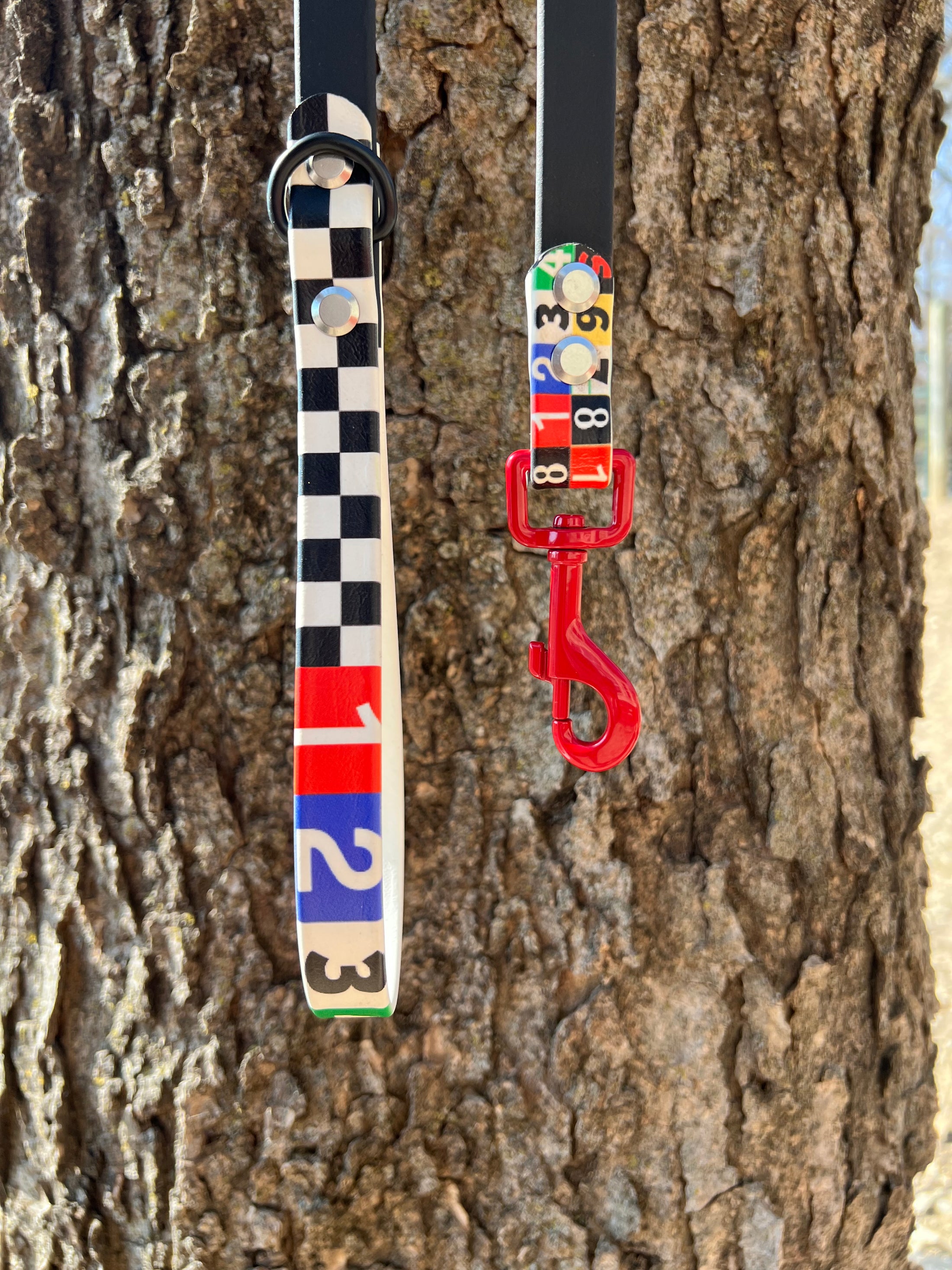 Race Ready Leashes