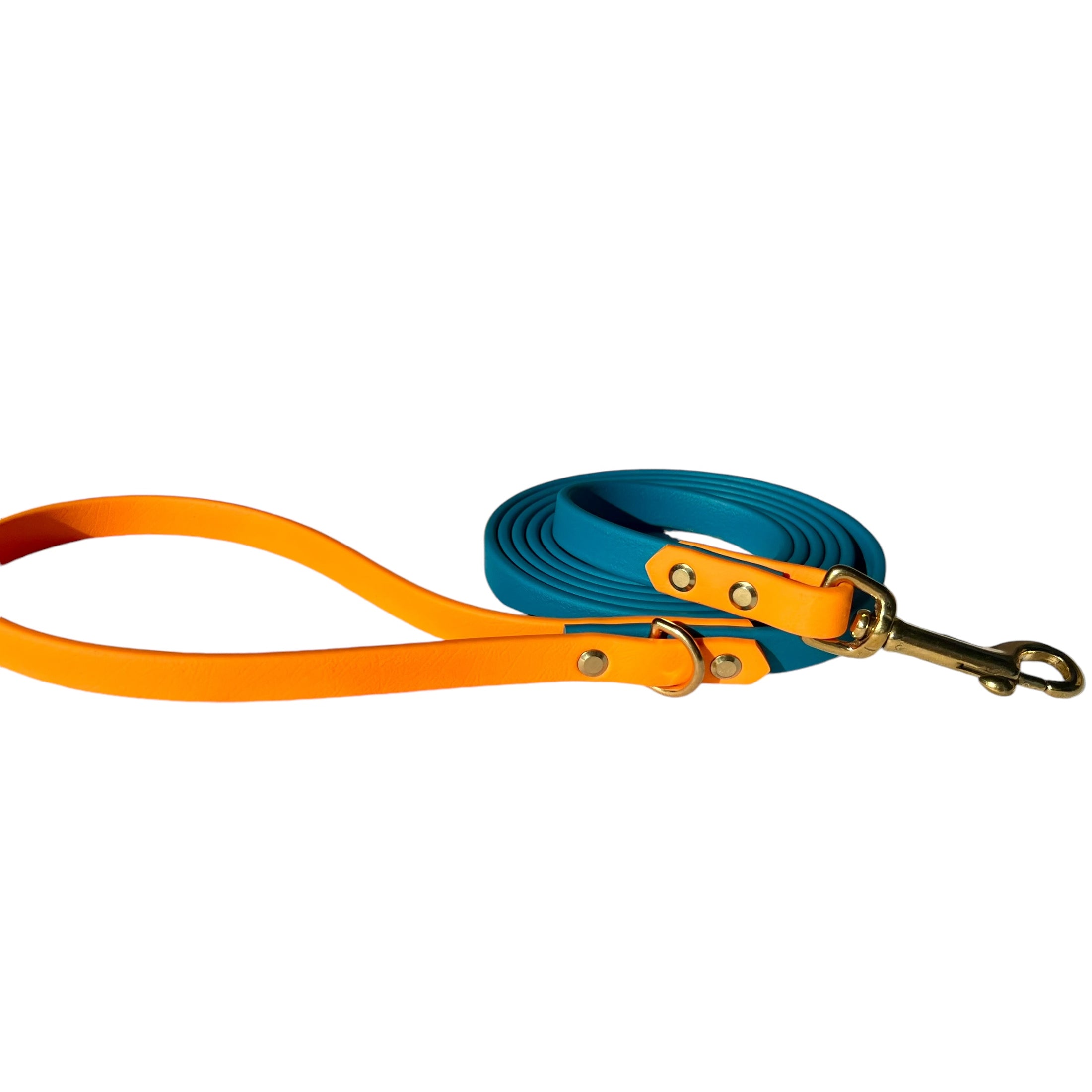 6' Turquoise & Peach Pink Leash