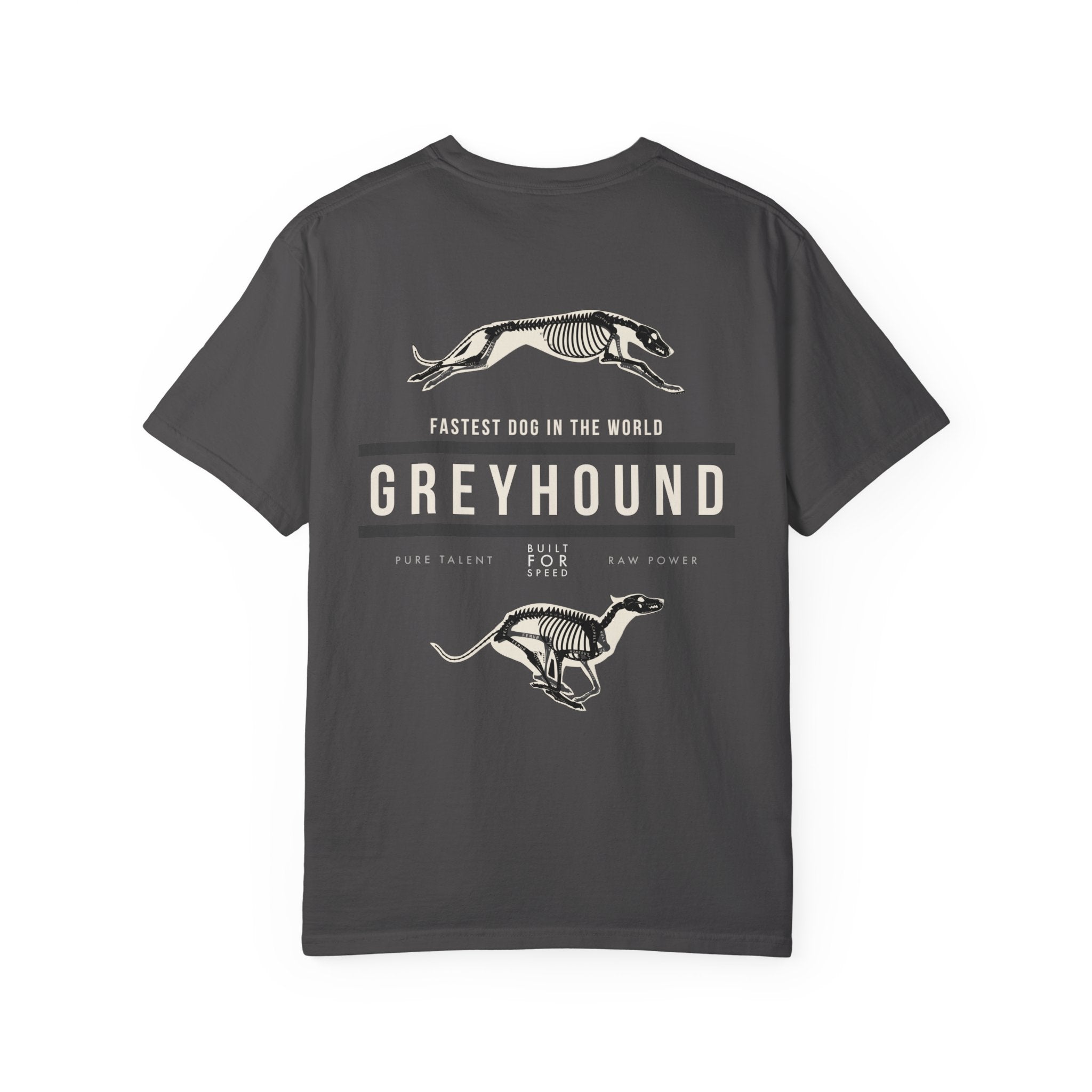 Greyhound Anatomy Tee