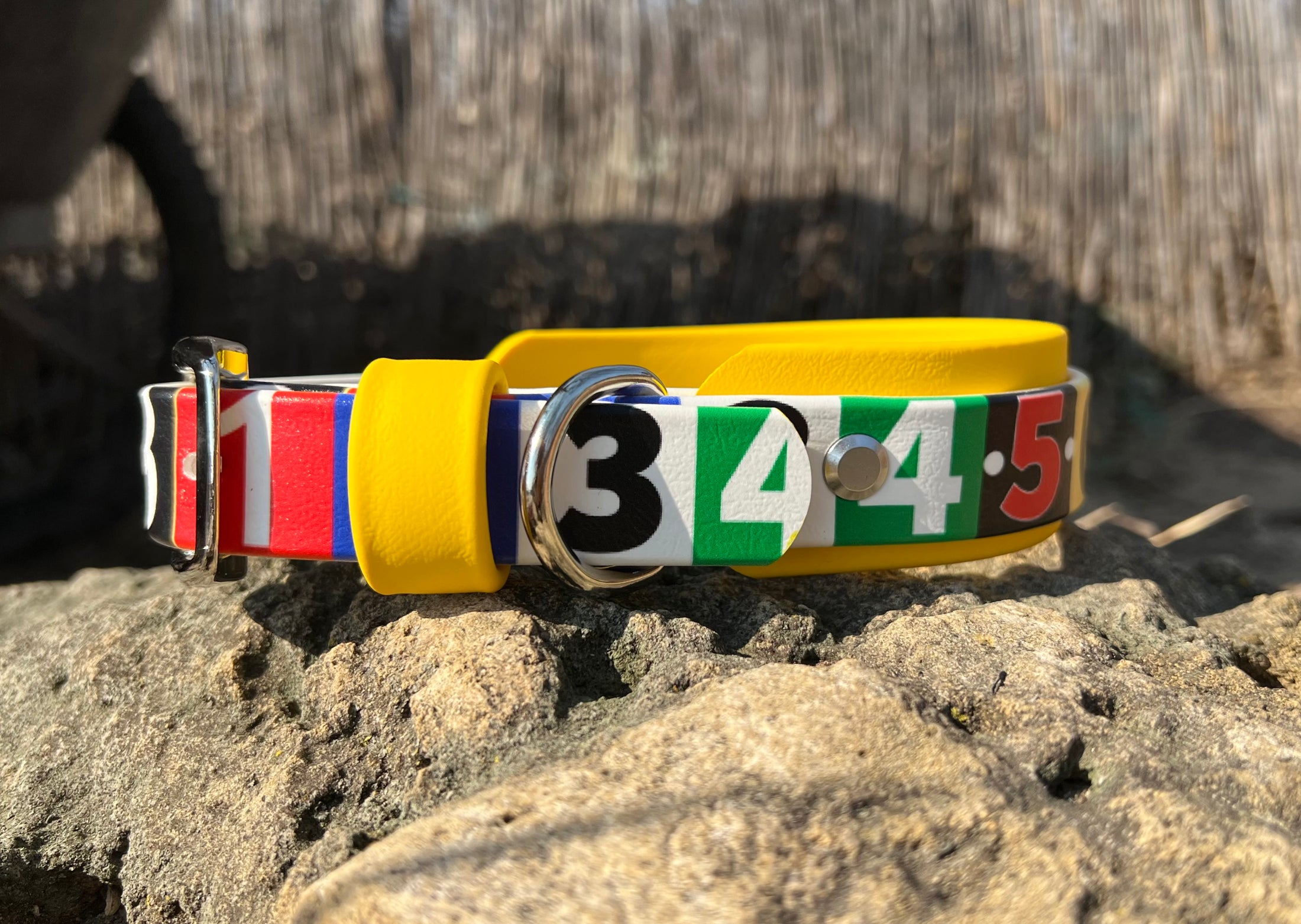 Race Ready Collars