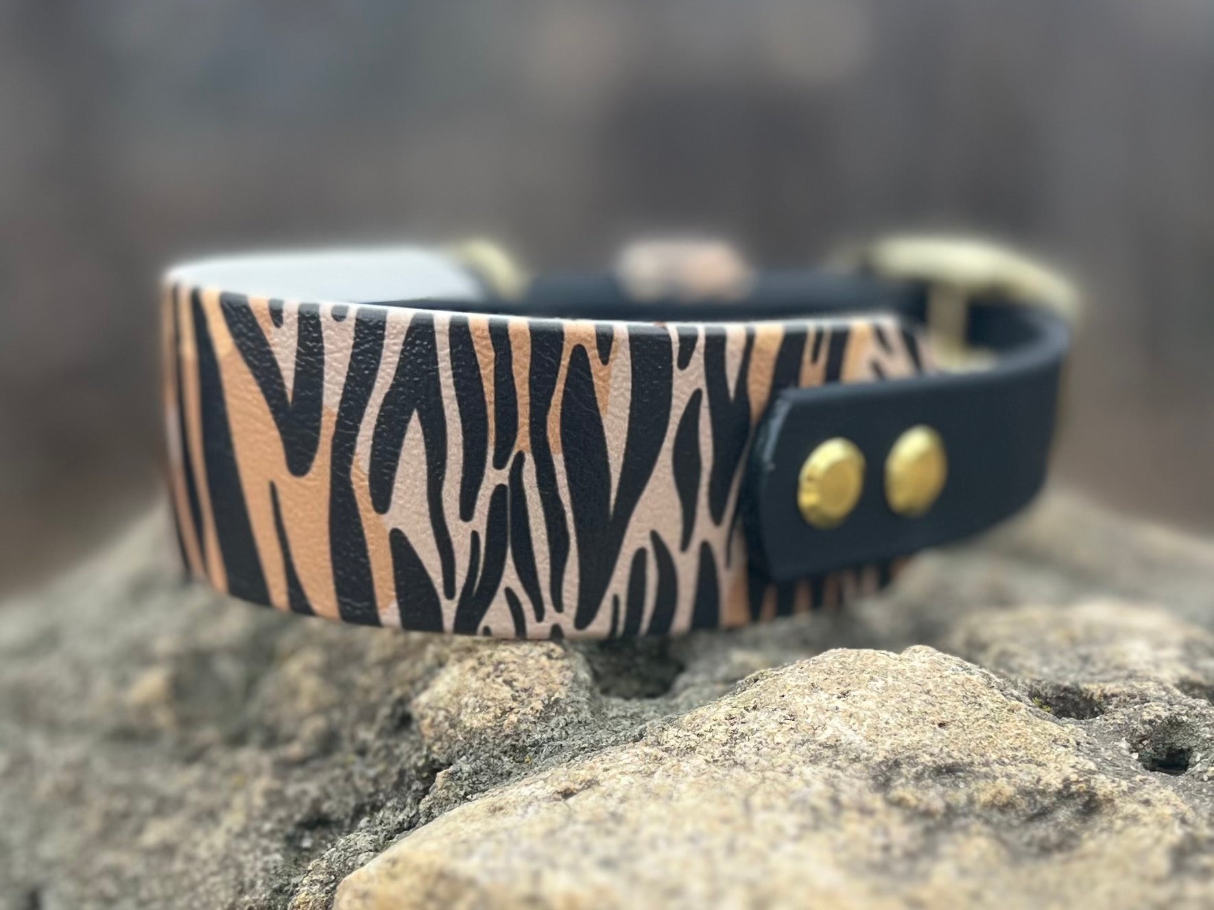 Sahara Stride Dog Collar