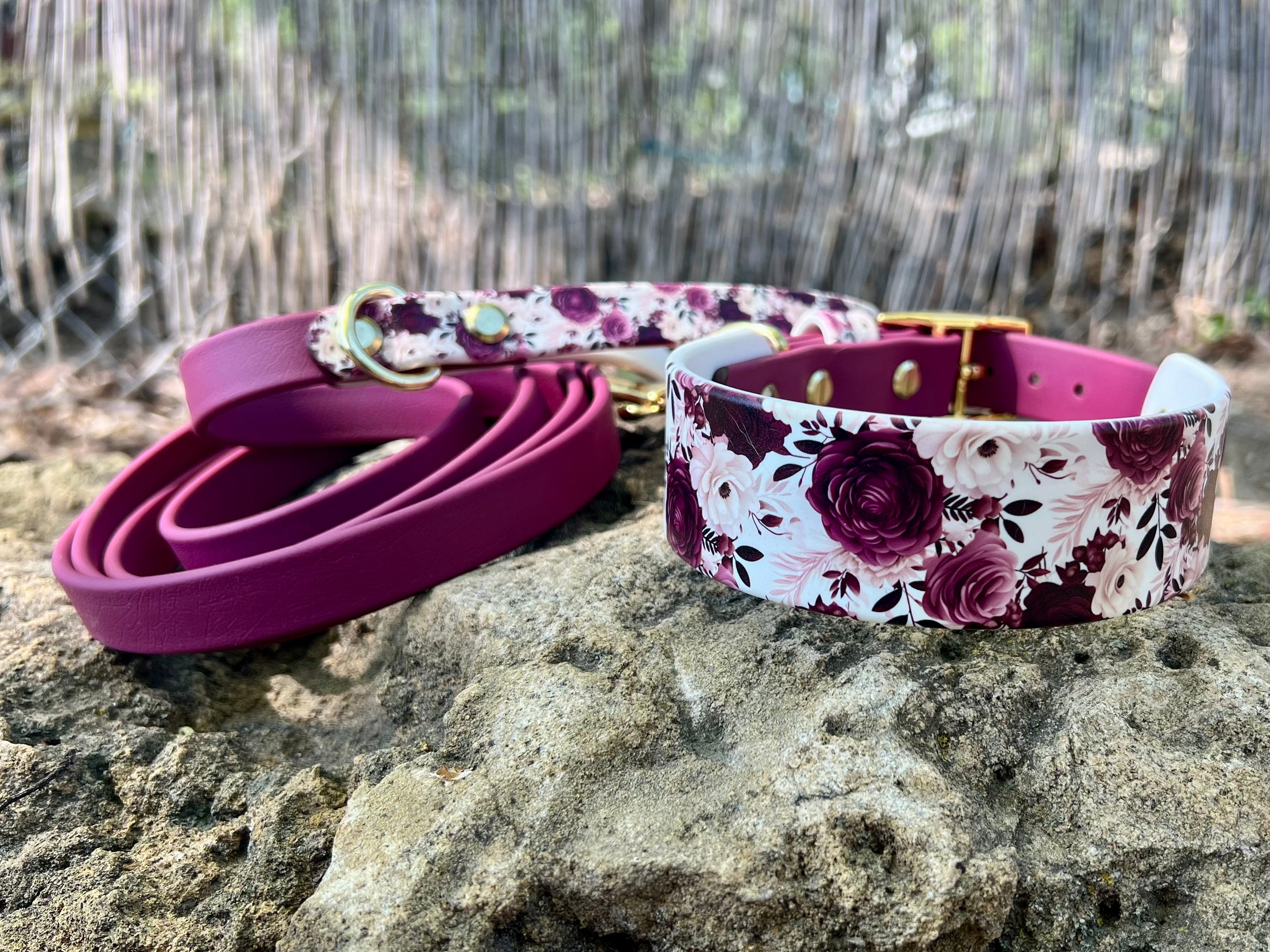 Cabernet Blossom Dog Collar