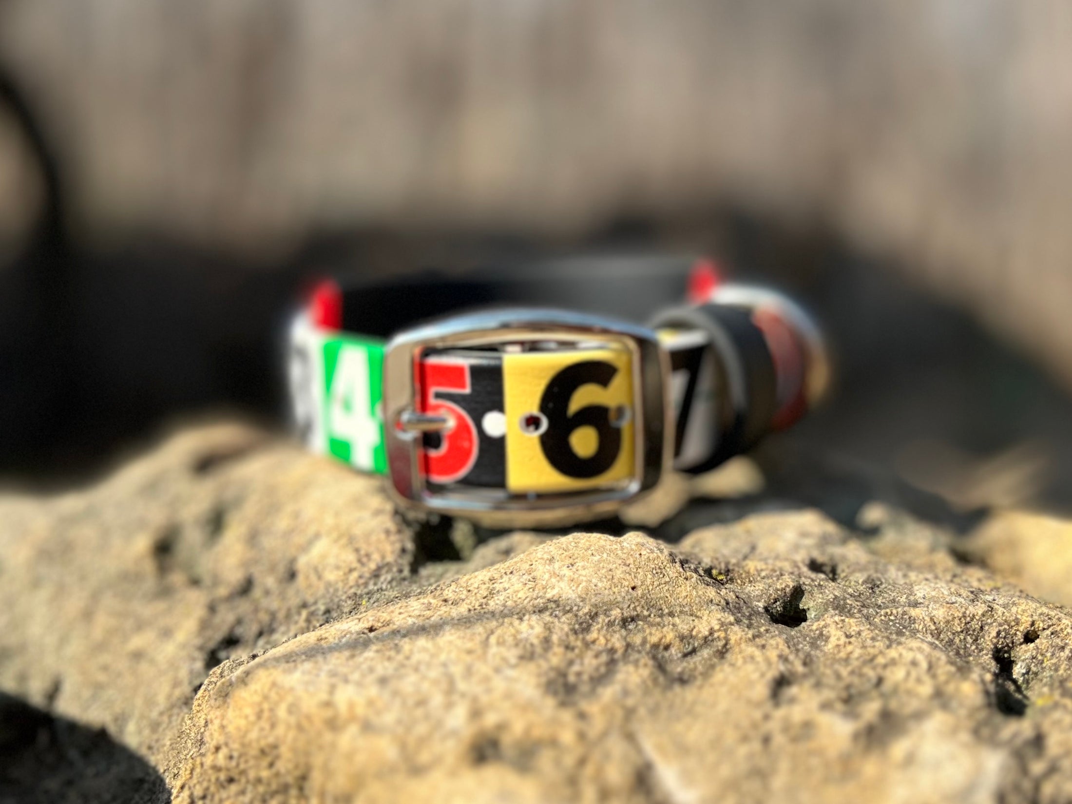 Race Ready Collars