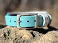 Load image into Gallery viewer, Atomic Breeze Dog Collar

