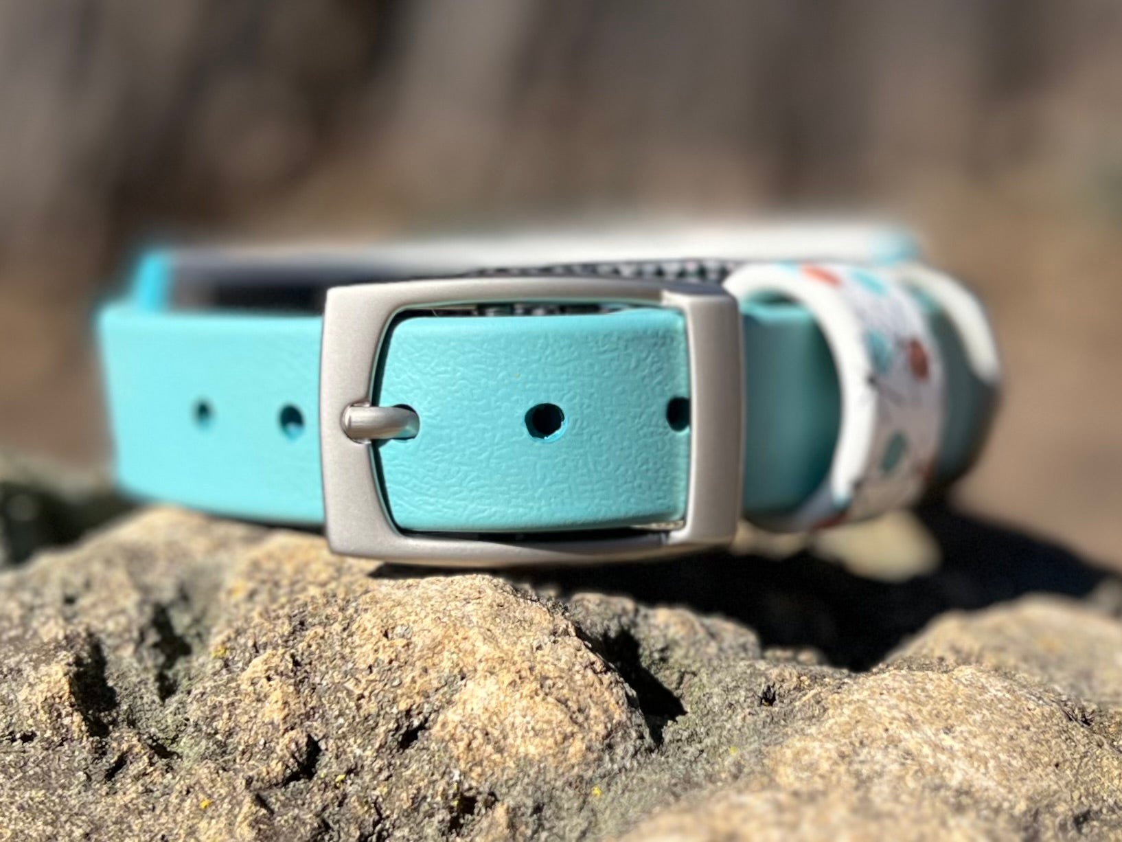 Atomic Breeze Dog Collar