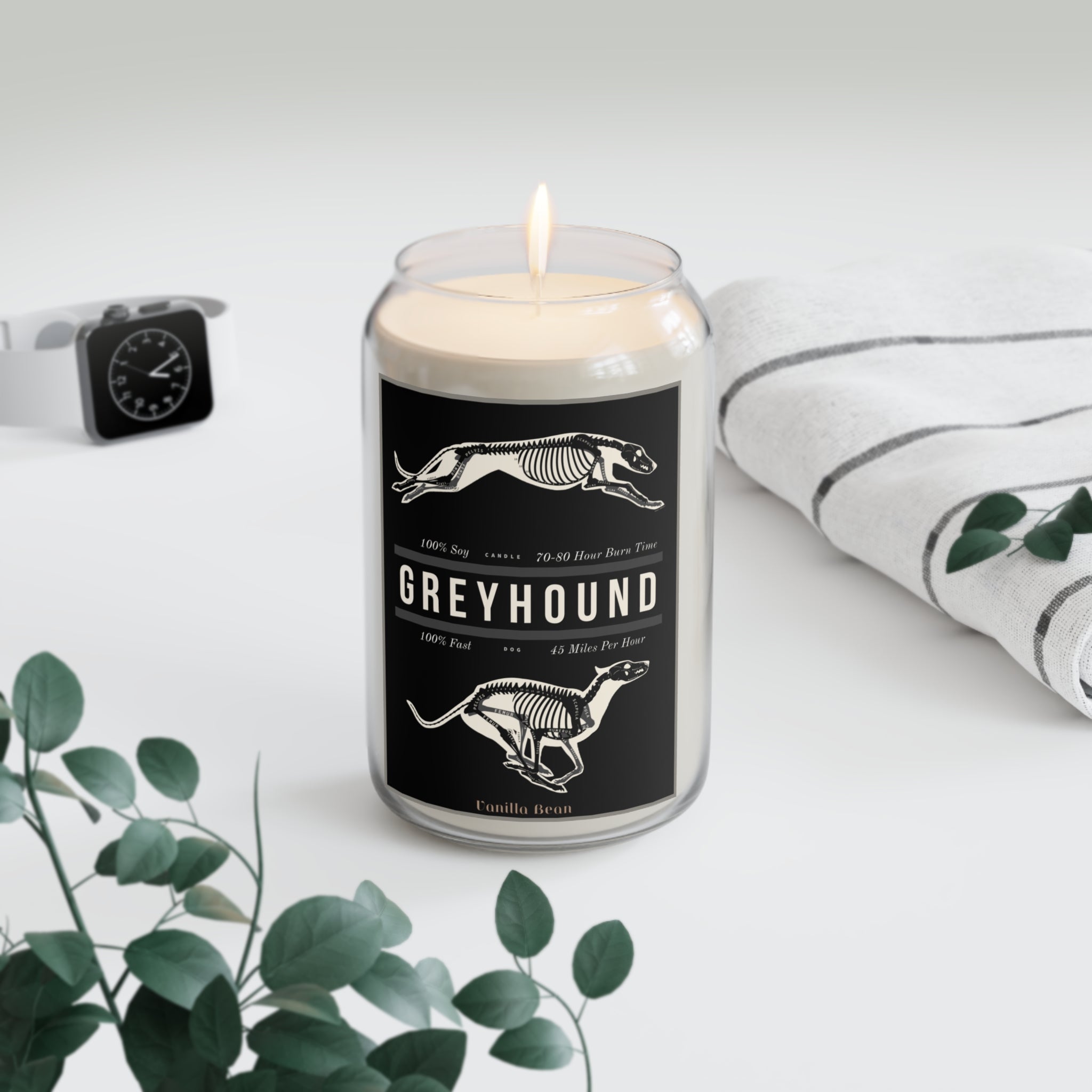 Greyhound Anatomy 100% Soy Candle, 13.75oz