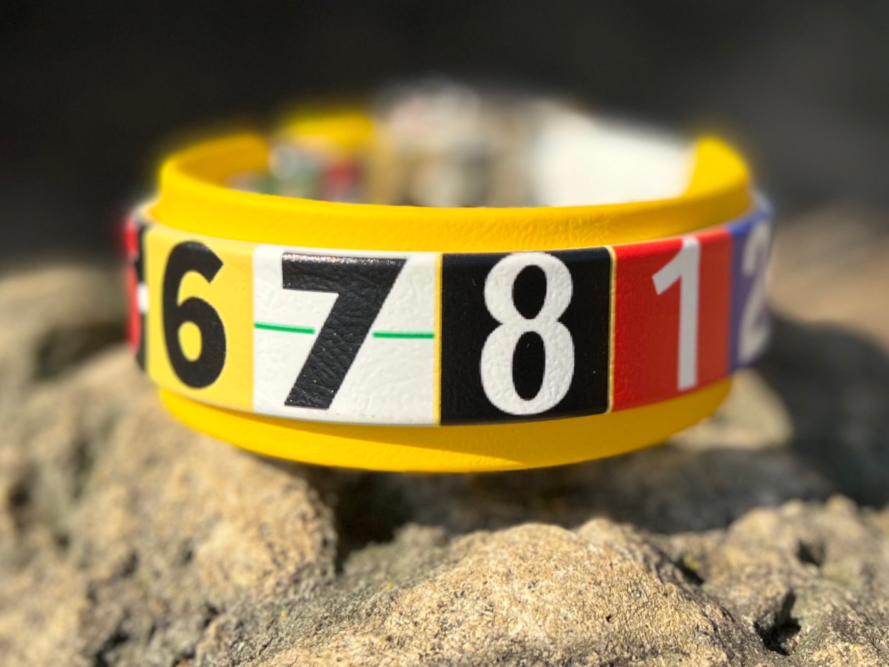 Race Ready Collars