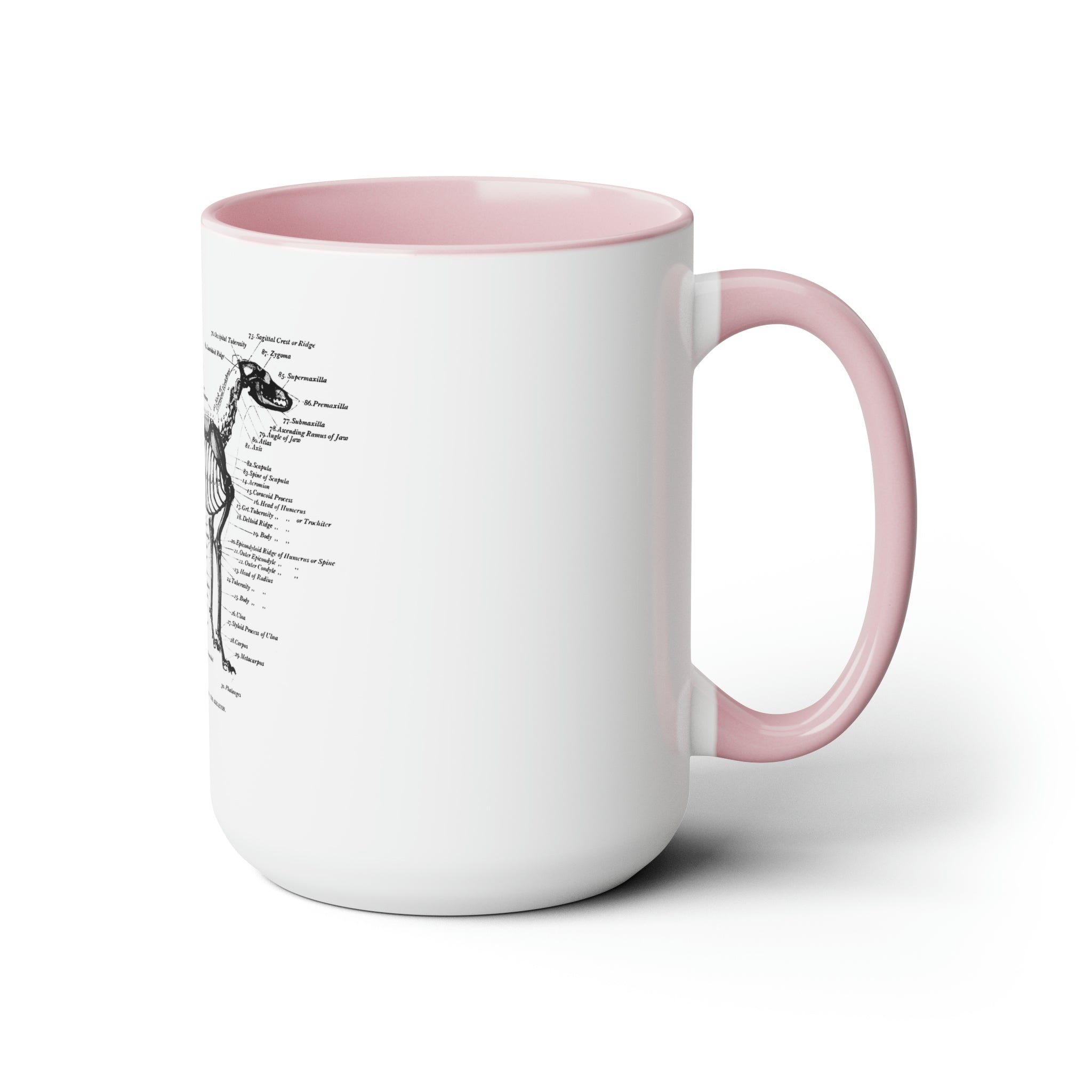 Greyhound Anatomy Coffee Mug, 15oz