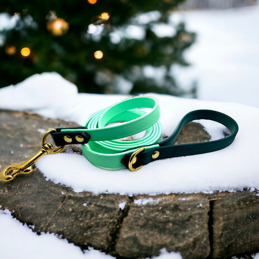 6' Biothane Leash Seafoam & Hunter