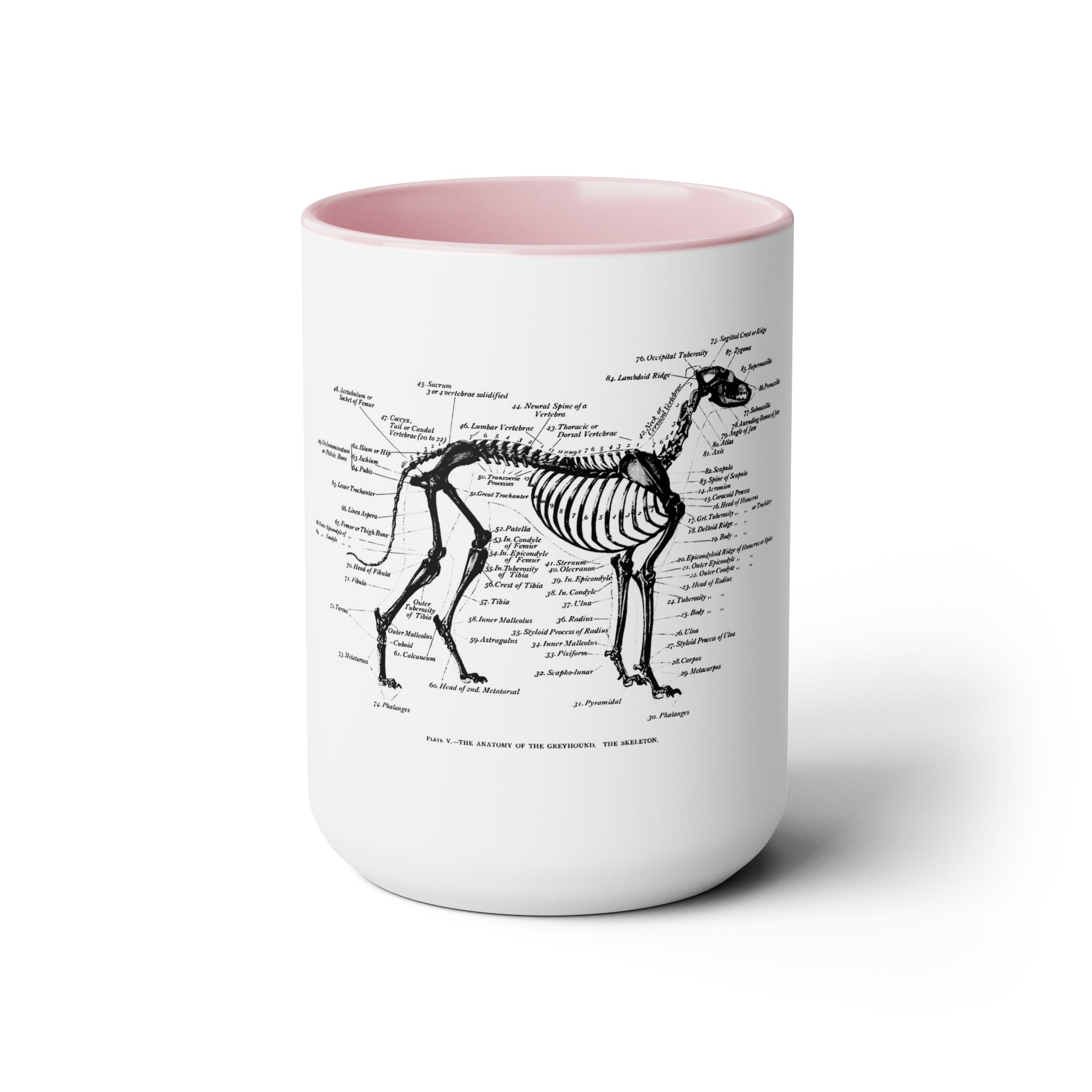 Greyhound Anatomy Coffee Mug, 15oz