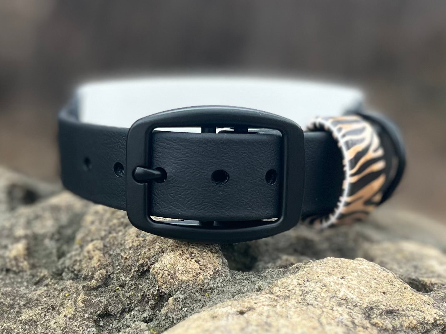 Sahara Stride Dog Collar