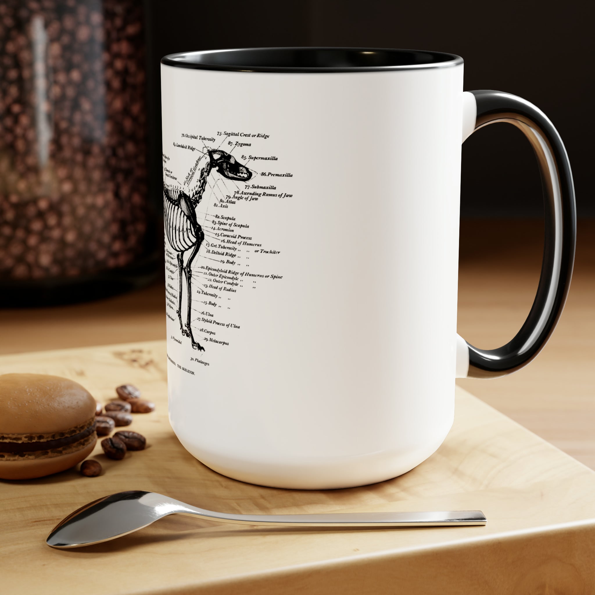 Greyhound Anatomy Coffee Mug, 15oz