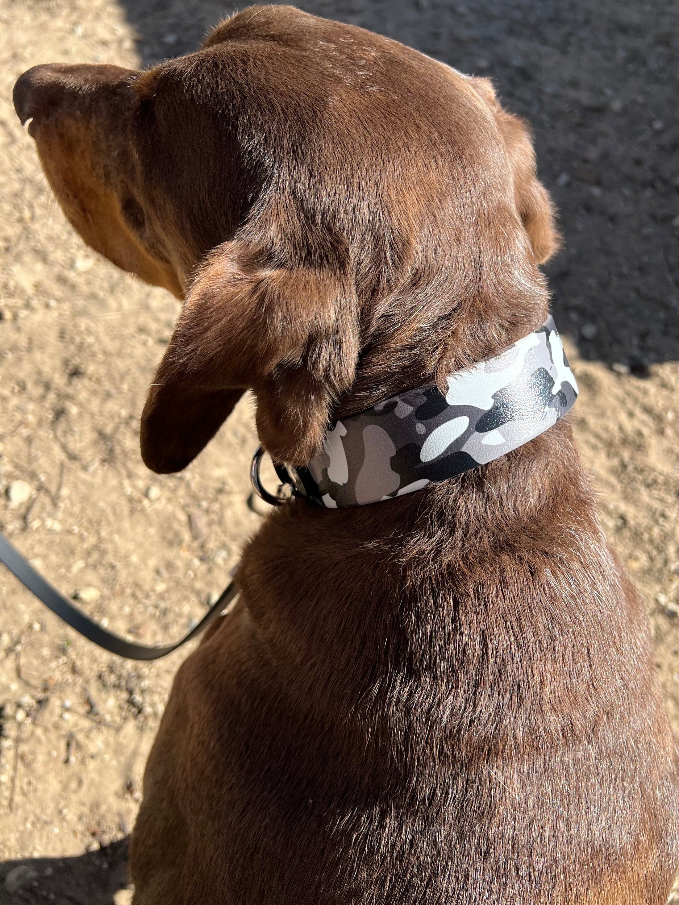 Phantom Camo Collar 1.5"