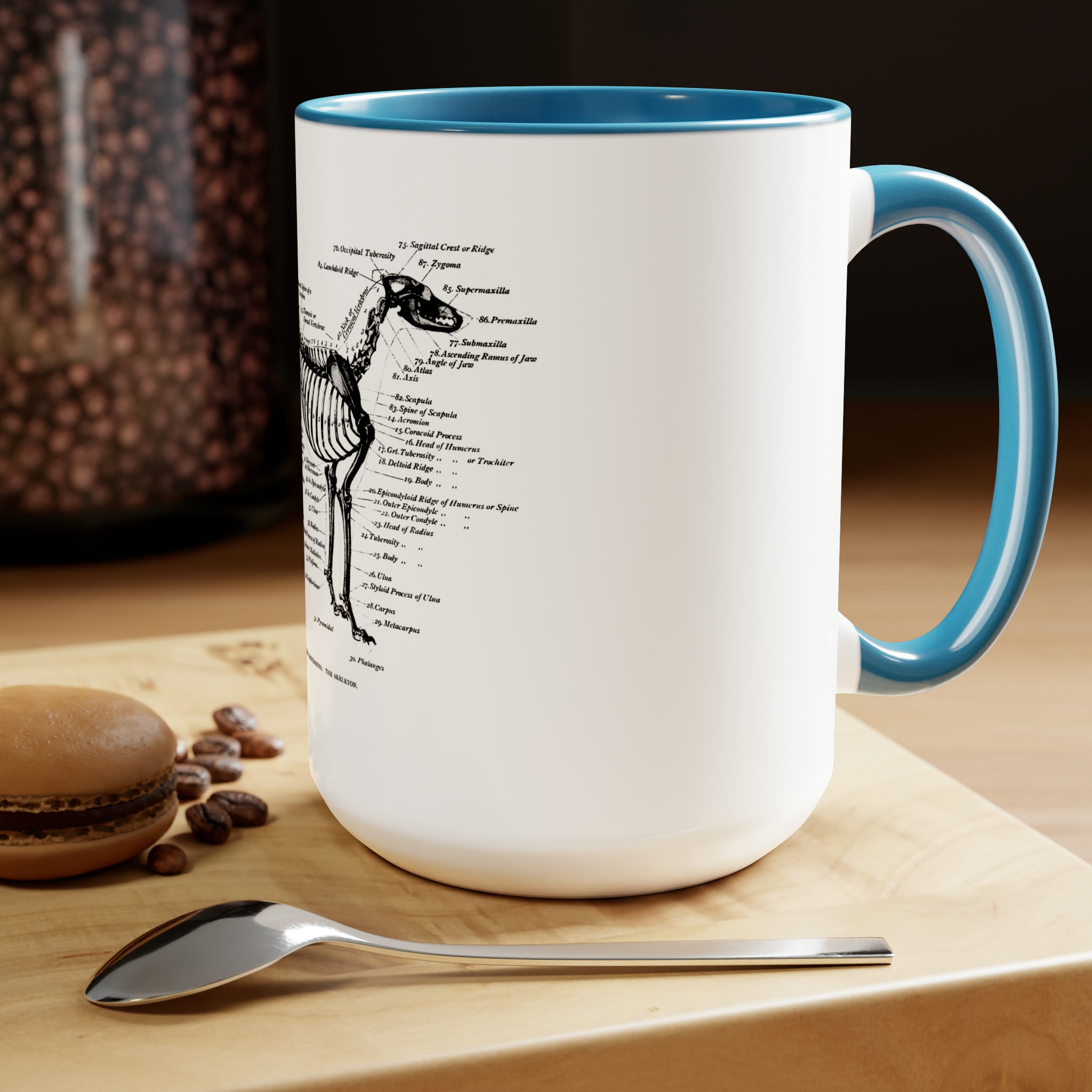 Greyhound Anatomy Coffee Mug, 15oz