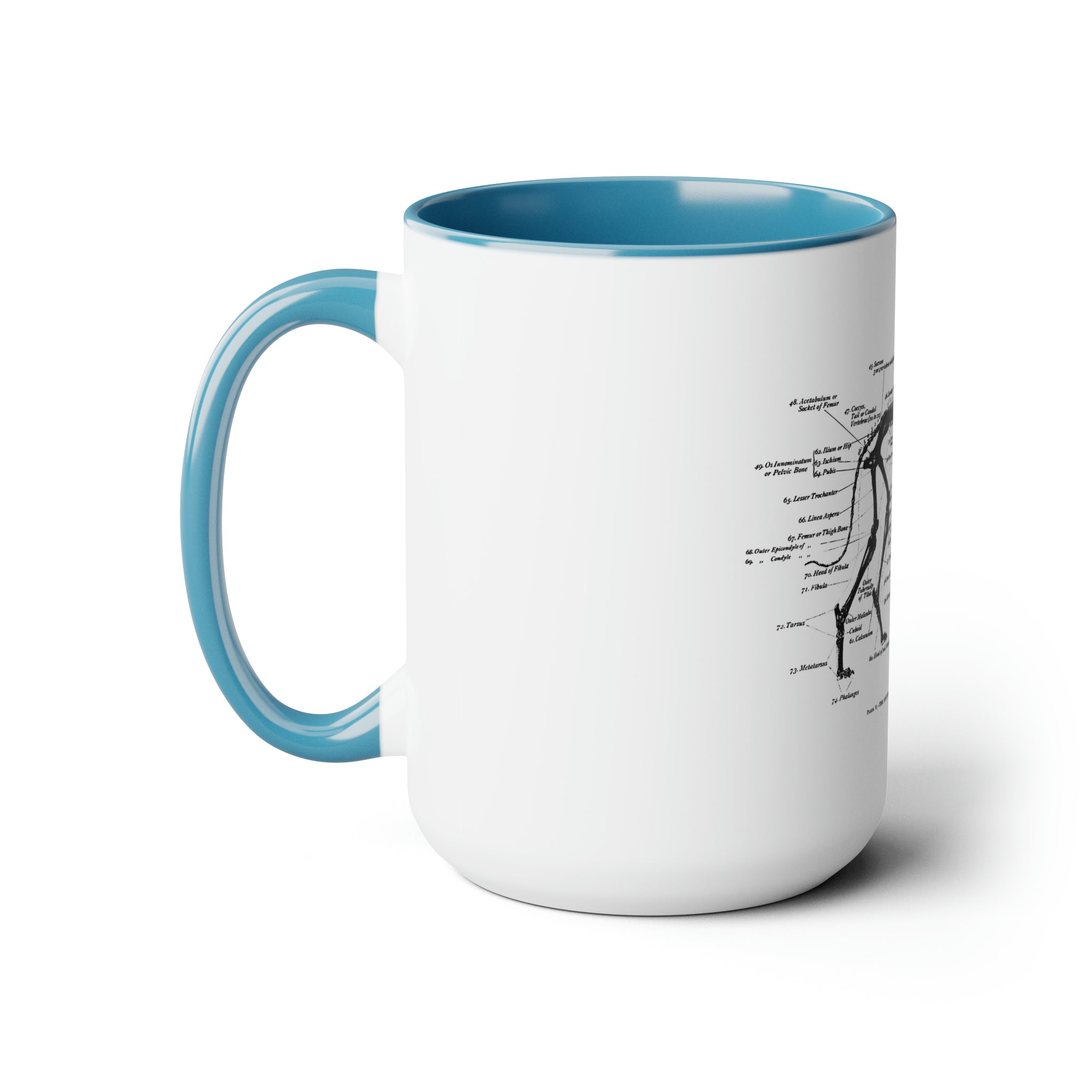 Greyhound Anatomy Coffee Mug, 15oz