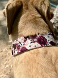 Load image into Gallery viewer, Cabernet Blossom Dog Collar
